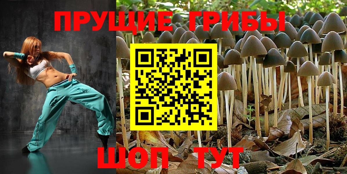 Псилоцибиновые грибы Psilocybine cubensis Губкинский