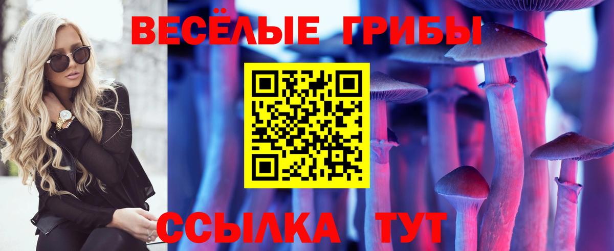 Галлюциногенные грибы Cubensis  Галлюциногенные грибы Psilocybine cubensis  Губкинский  Вход с VPN 